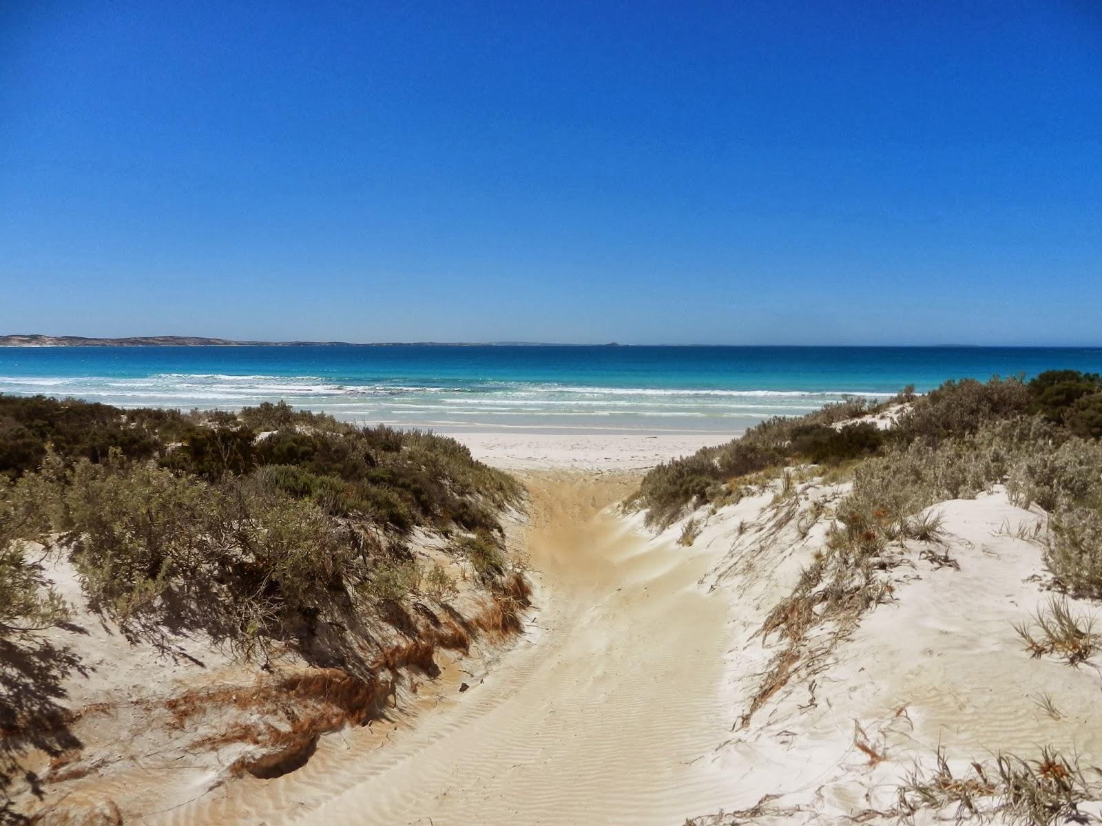 Un petit gout d'Australie contre un petit bout de paradis.