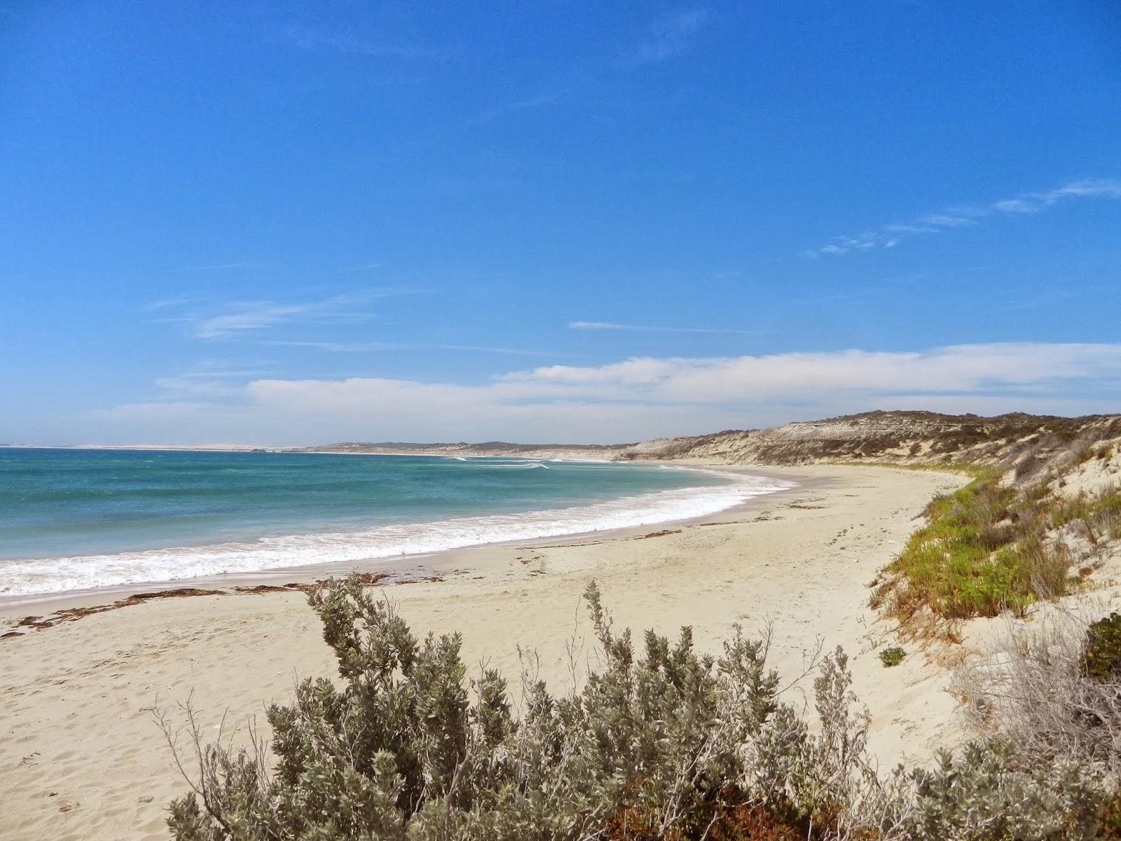 Un petit gout d'Australie contre un petit bout de paradis.