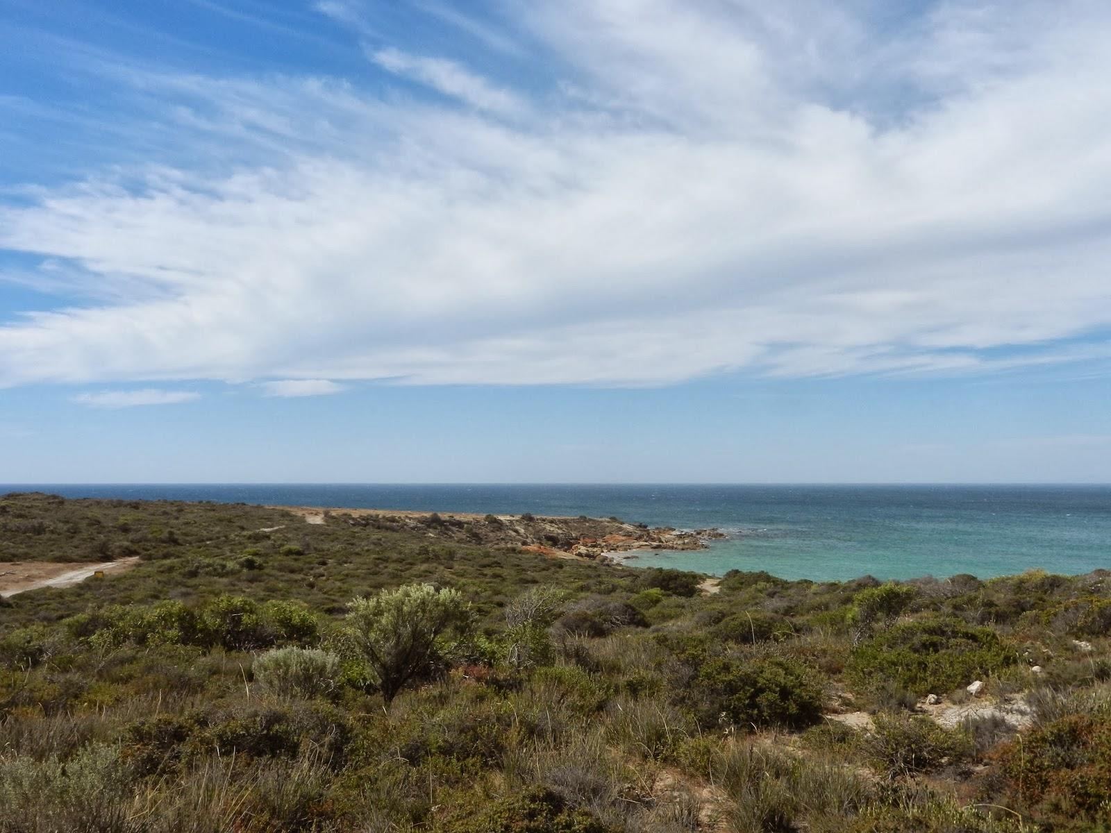 Un petit gout d'Australie contre un petit bout de paradis.