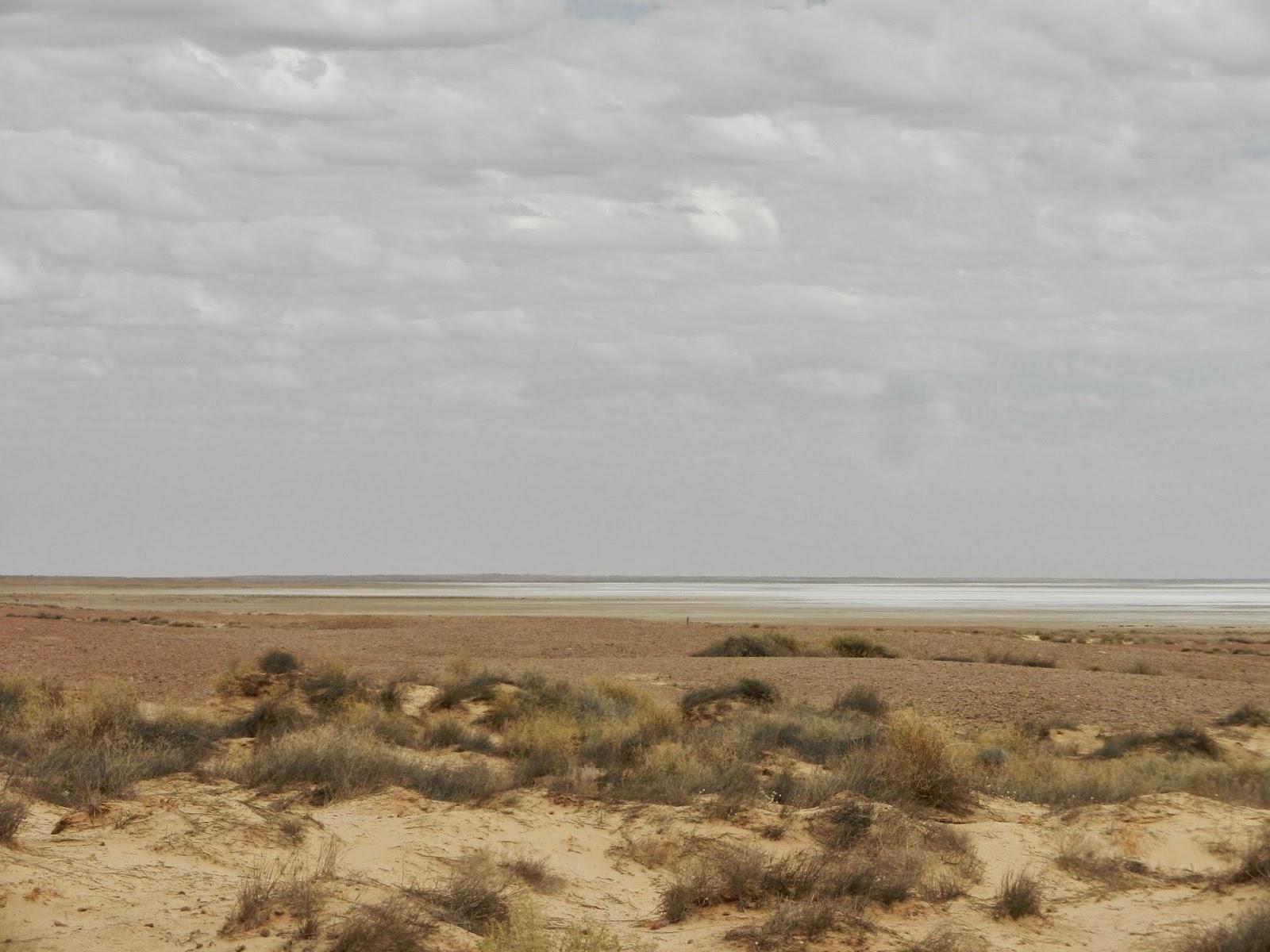 Un petit gout d'Australie contre un petit bout de paradis.