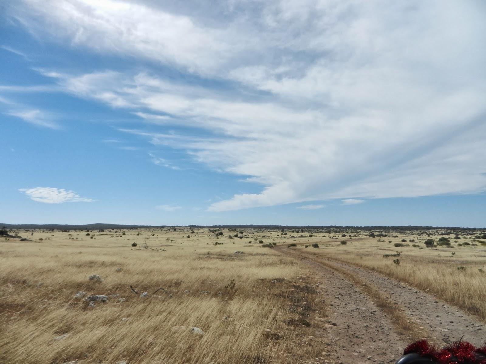 Un petit gout d'Australie contre un petit bout de paradis.