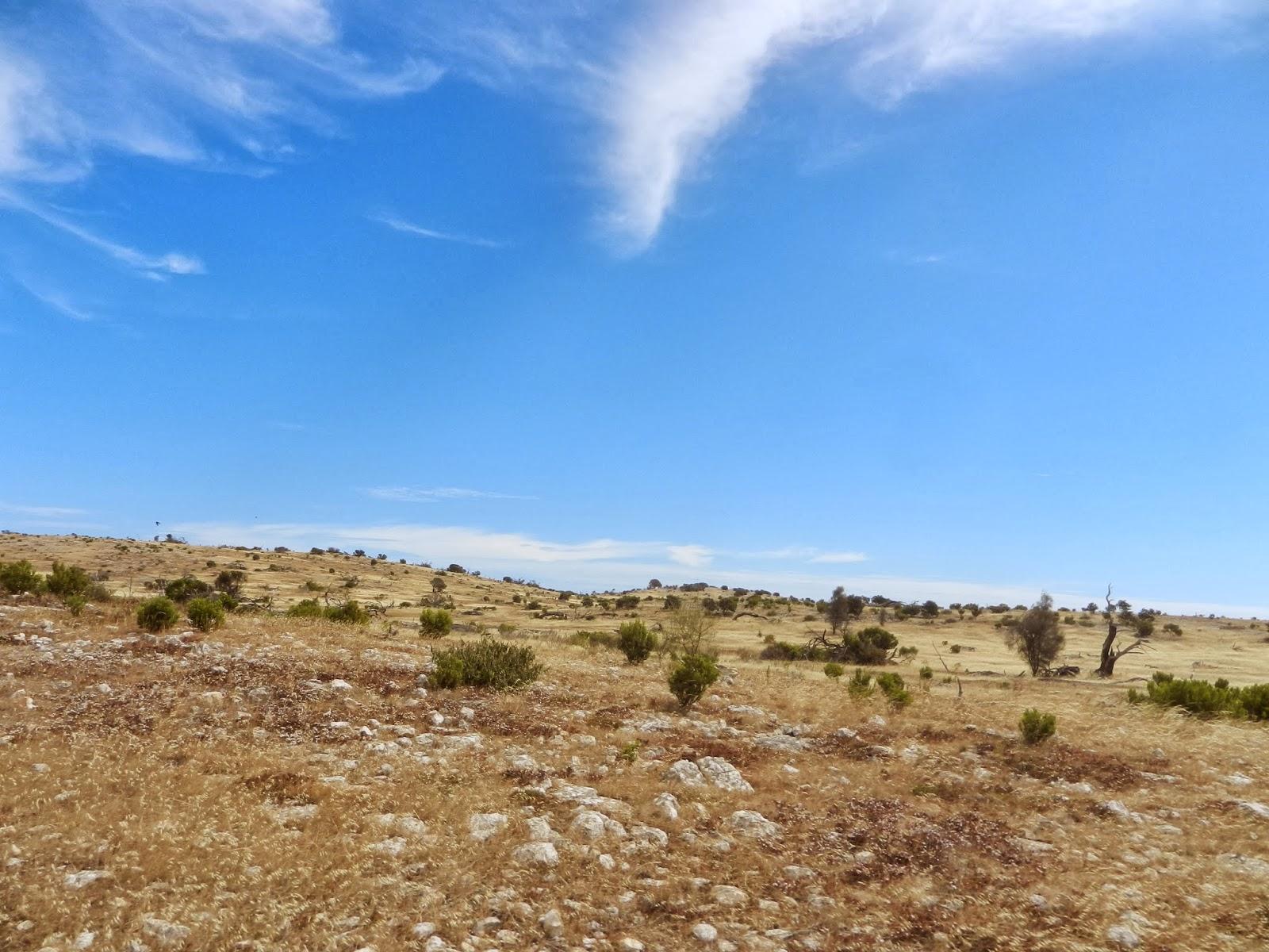 Un petit gout d'Australie contre un petit bout de paradis.