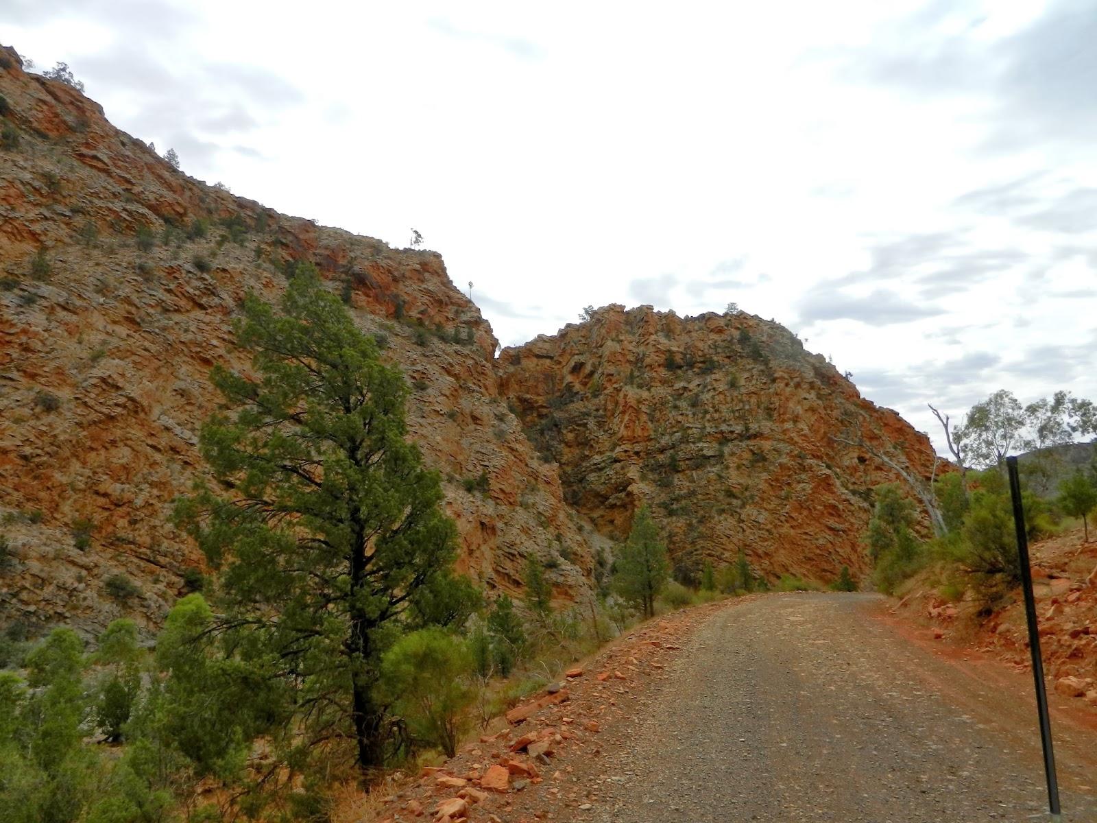 Un petit gout d'Australie contre un petit bout de paradis.