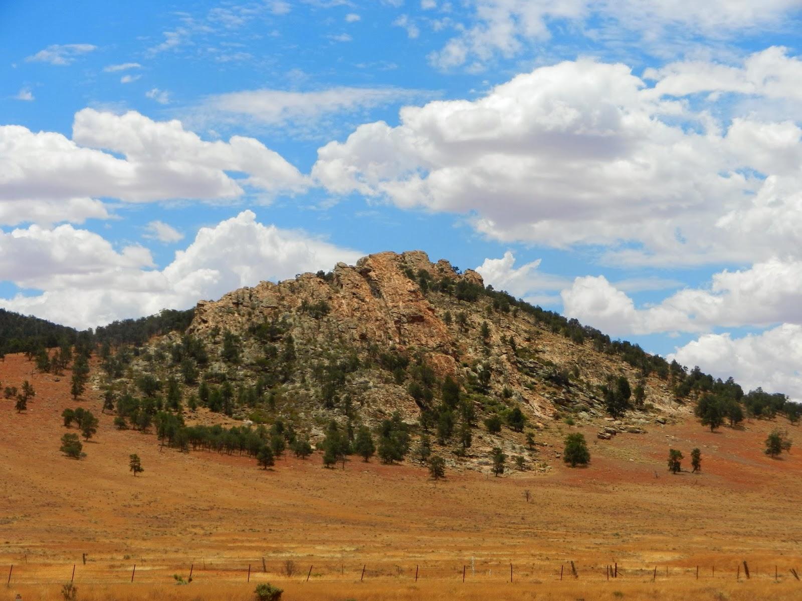 Un petit gout d'Australie contre un petit bout de paradis.