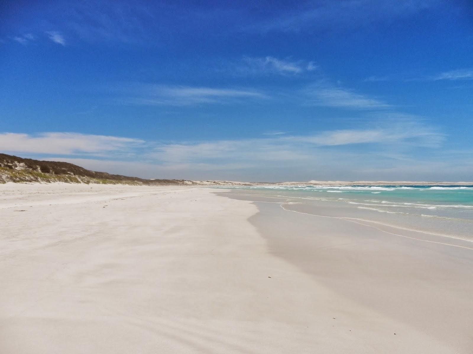 Un petit gout d'Australie contre un petit bout de paradis.
