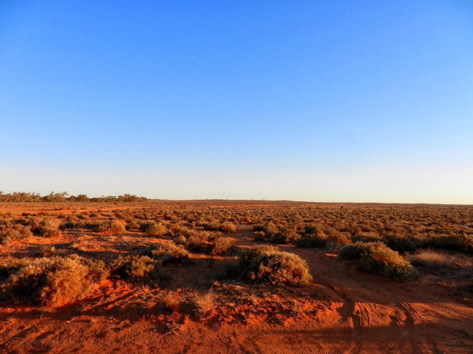 Un petit gout d'Australie contre un petit bout de paradis.