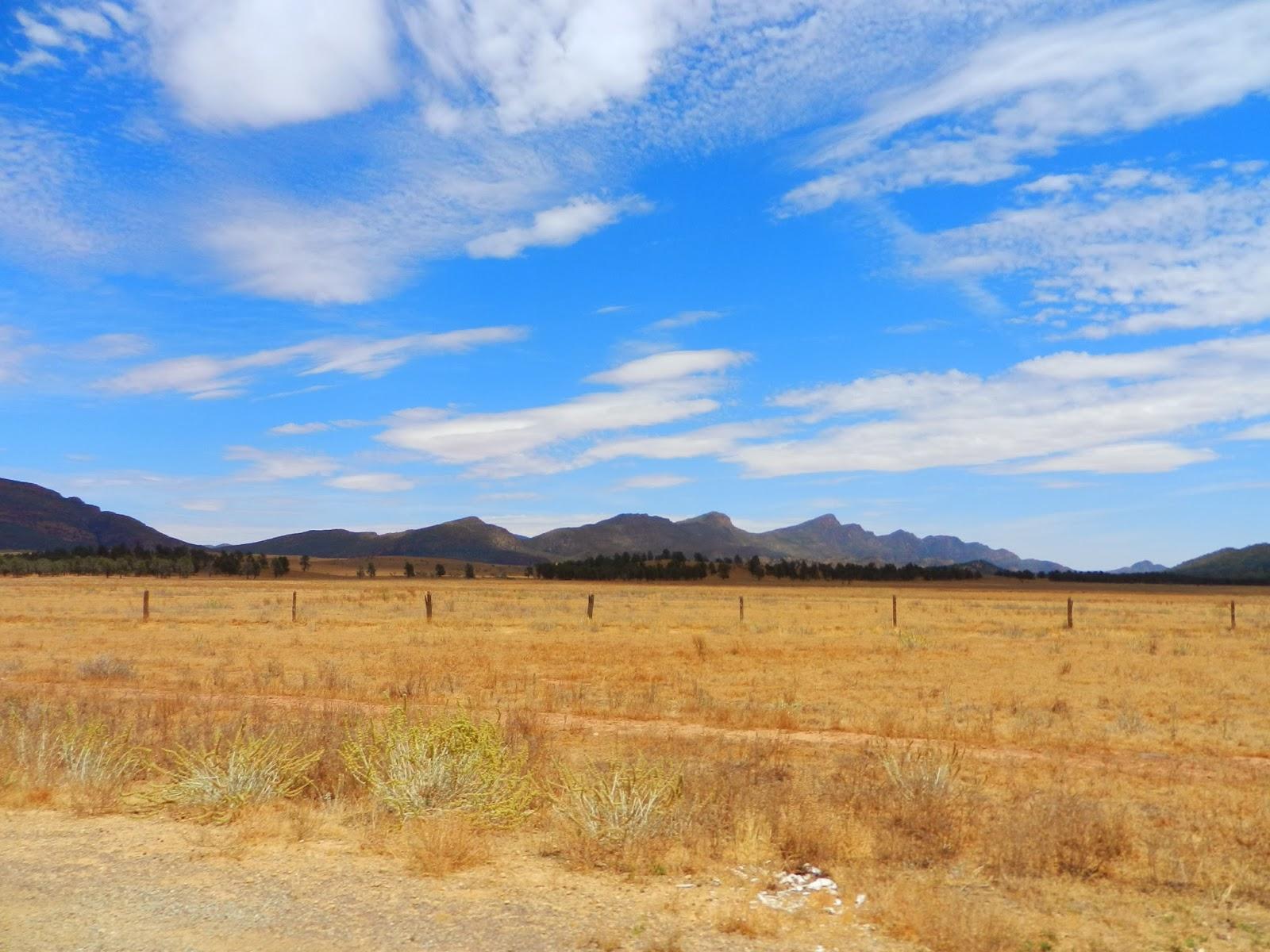 Un petit gout d'Australie contre un petit bout de paradis.