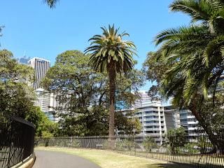 Dernier jour sur Sydney, visite de l'opéra et du Royal Botanic Garden.