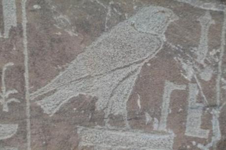 ouadi hammamat (134)Le faucon Horus, fil d'Isis.