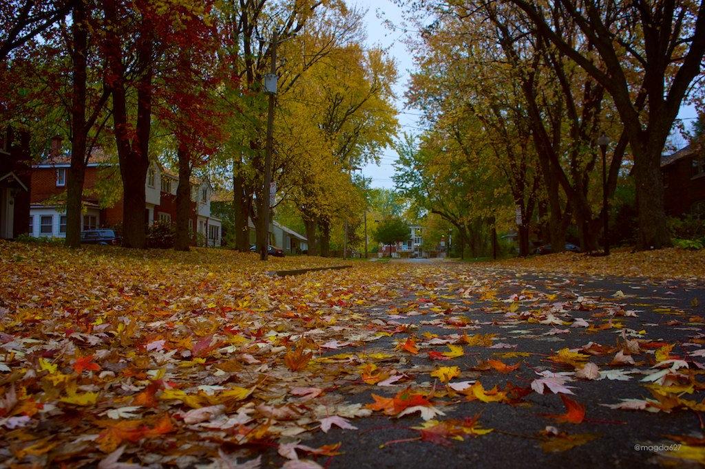 anteketborka.blogspot.com,   pluie 6