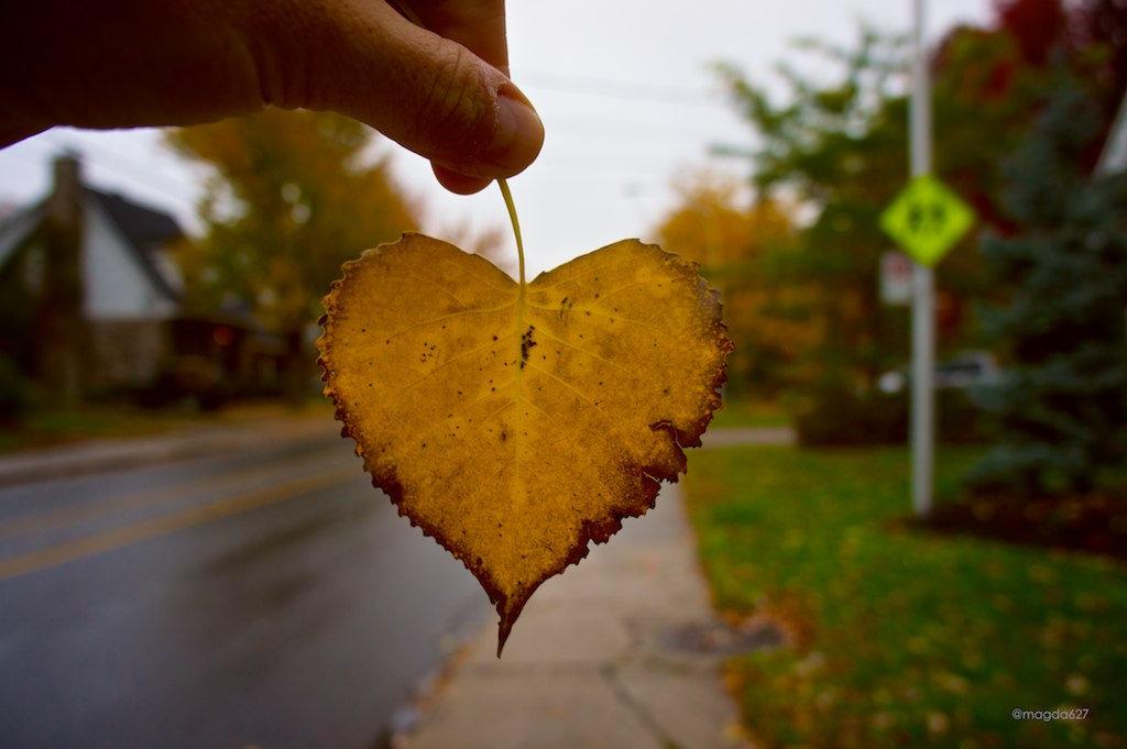 anteketborka.blogspot.com,   pluie 8