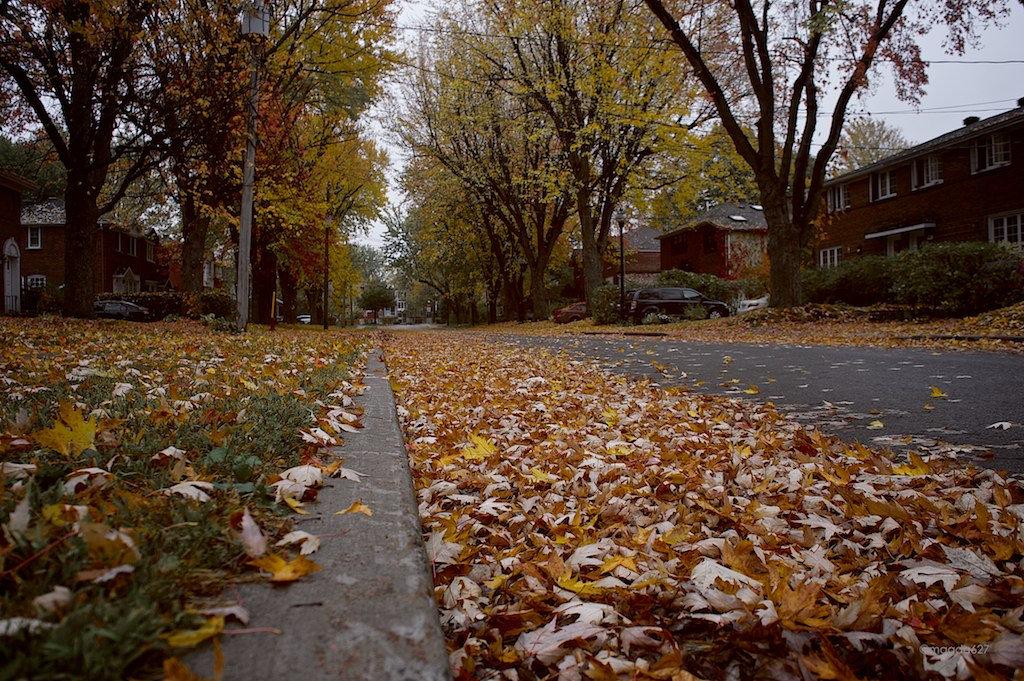 anteketborka.blogspot.com,   pluie 2