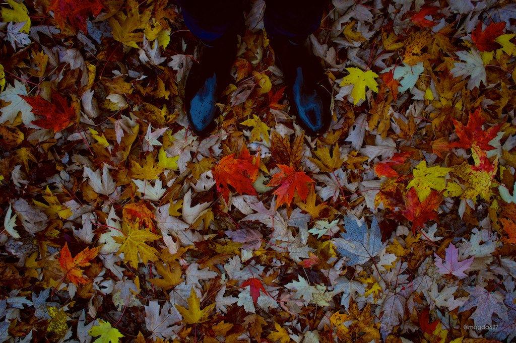 anteketborka.blogspot.com,   pluie 5