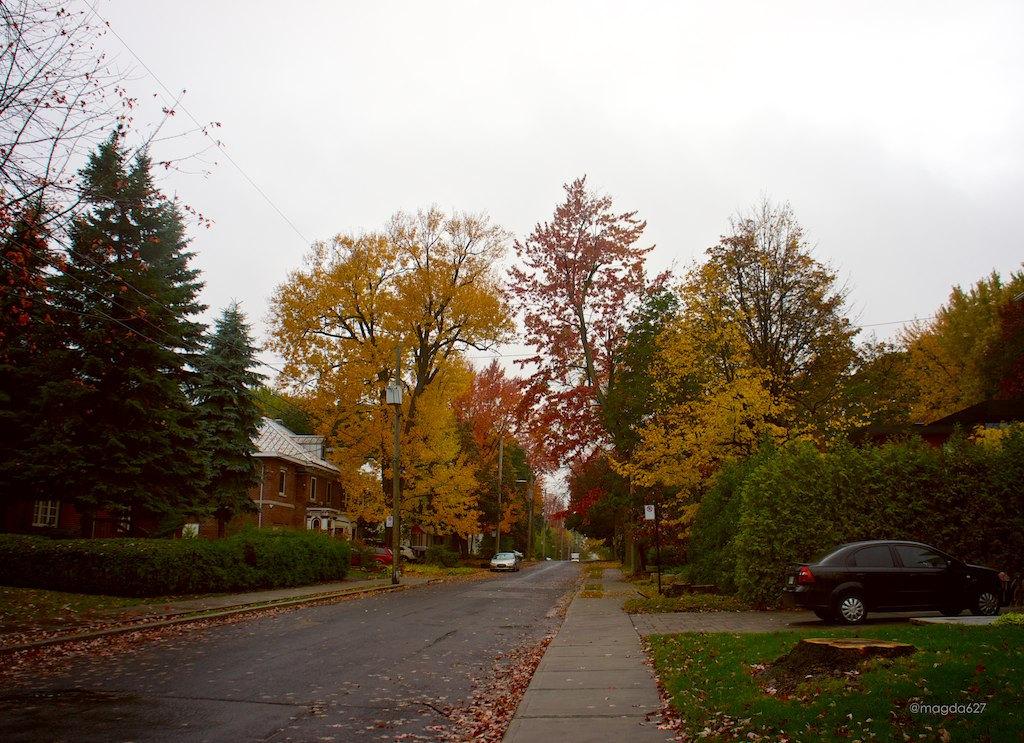 anteketborka.blogspot.com,   pluie 10