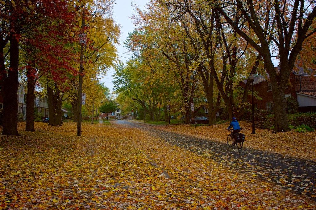 anteketborka.blogspot.com,   pluie 7