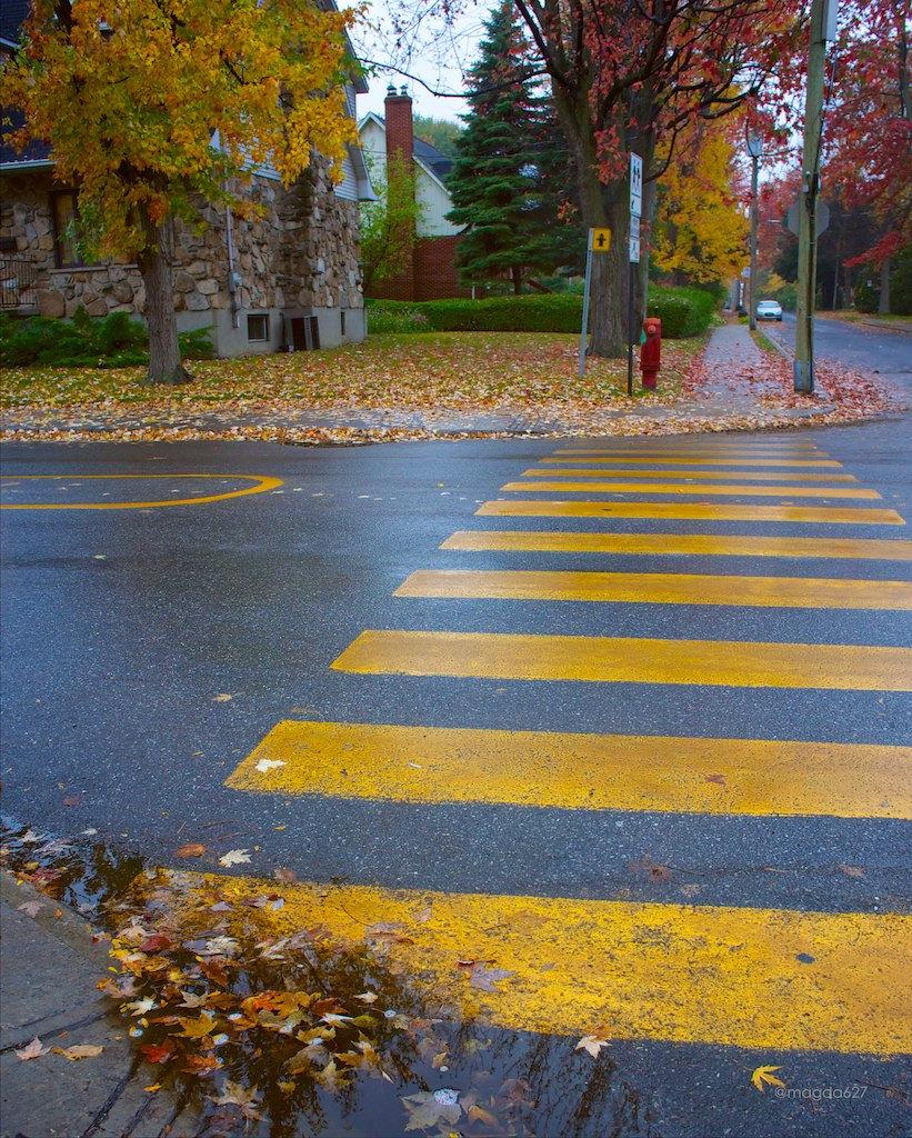 anteketborka.blogspot.com,   pluie 9