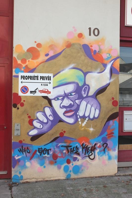 graffitis genève,graffitis genevois,graffeurs,graffeurs genevois