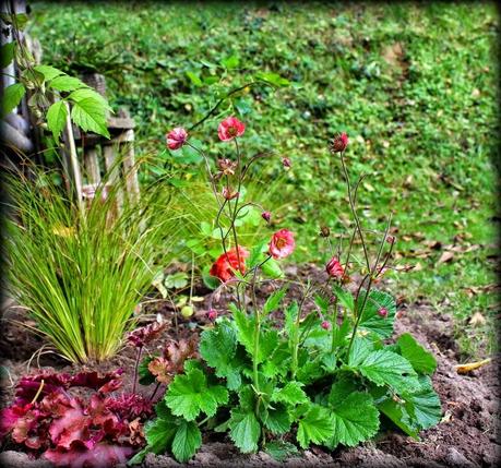 Des vitamines pour 2015 !