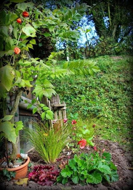 Des vitamines pour 2015 !