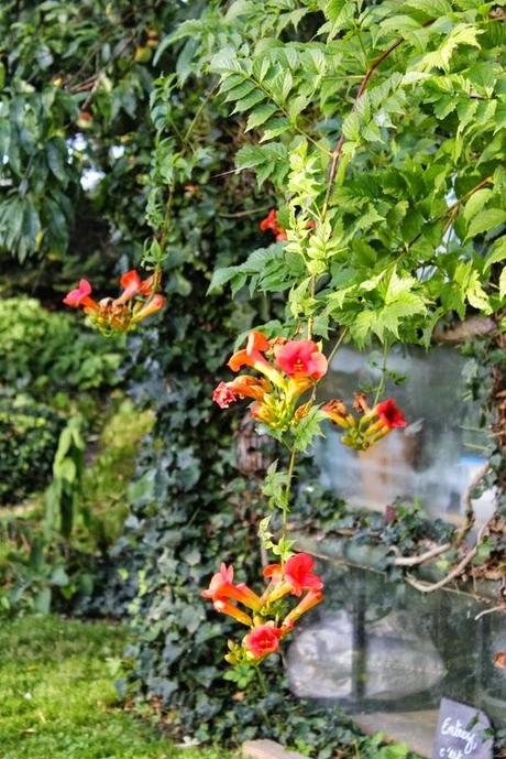 Des vitamines pour 2015 !