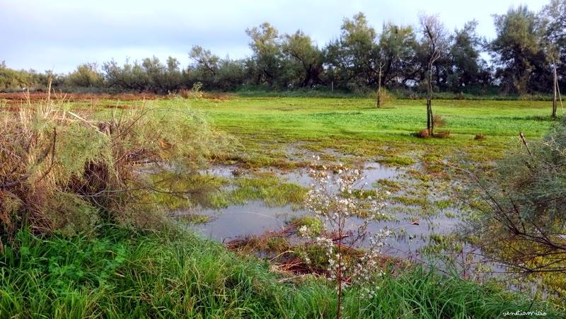 Torcello autrement