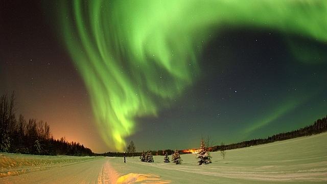 Photo (c) David Mark