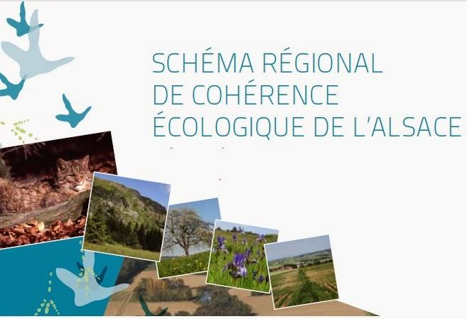 La Région Alsace approuve le Schéma Régional de Cohérence Ecologique (SRCE)