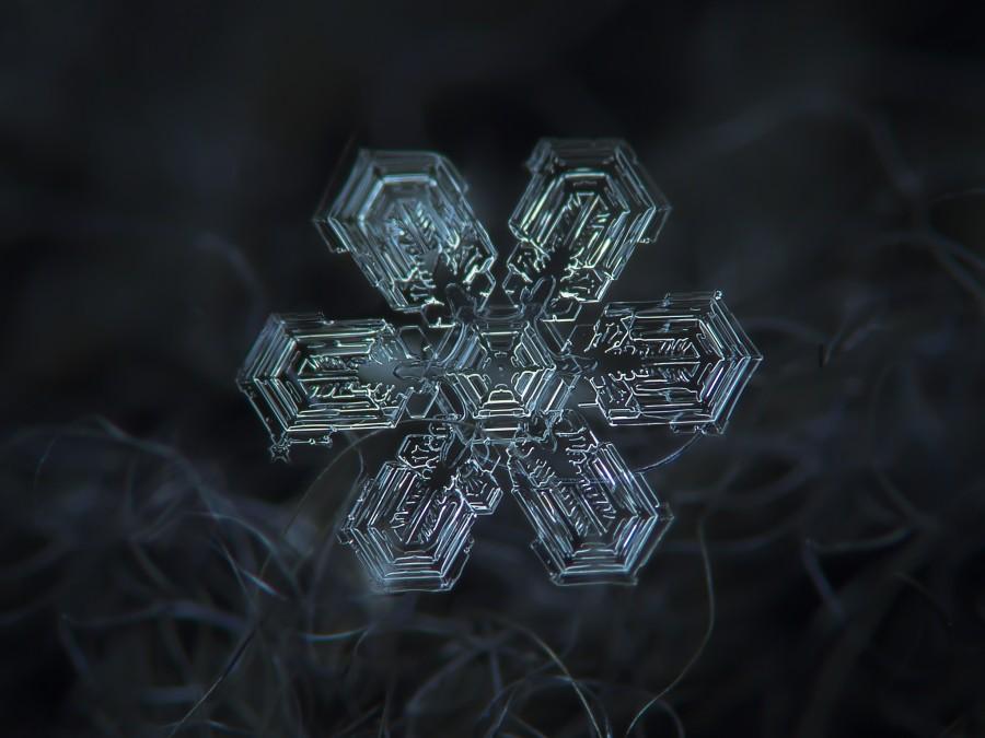 Macro-photographie de flocons de neige