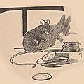 Le trésor de la souris