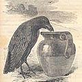 Le corbeau et la cruche
