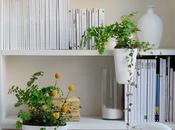 Rencontre Romain Chauveau Young-Paul Studio Supercraft