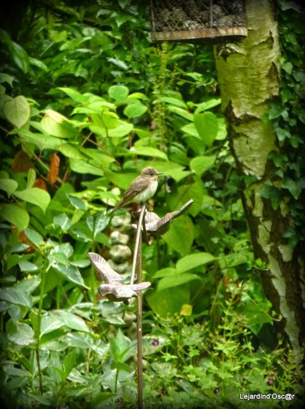 Bidouille de Louli...