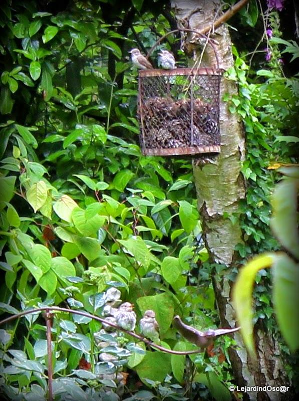 Bidouille de Louli...