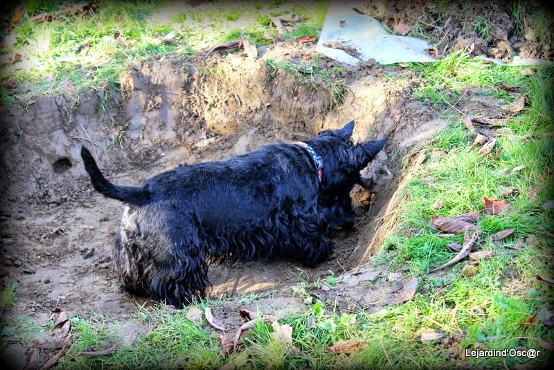 Bidouille de Louli...