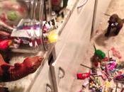 Dinovember, pour jouets vivant nuit (Vidéo)