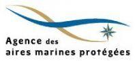 Suivi aérien de la megafaune marine en France métropolitaine