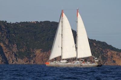 Pollution aux plastiques en Méditerranée méditerranée,plastique,plancton,pollution,environnement,alimentation,expédition,tara,cnrs