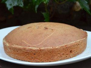 Ardéchois (gâteau aux marrons)