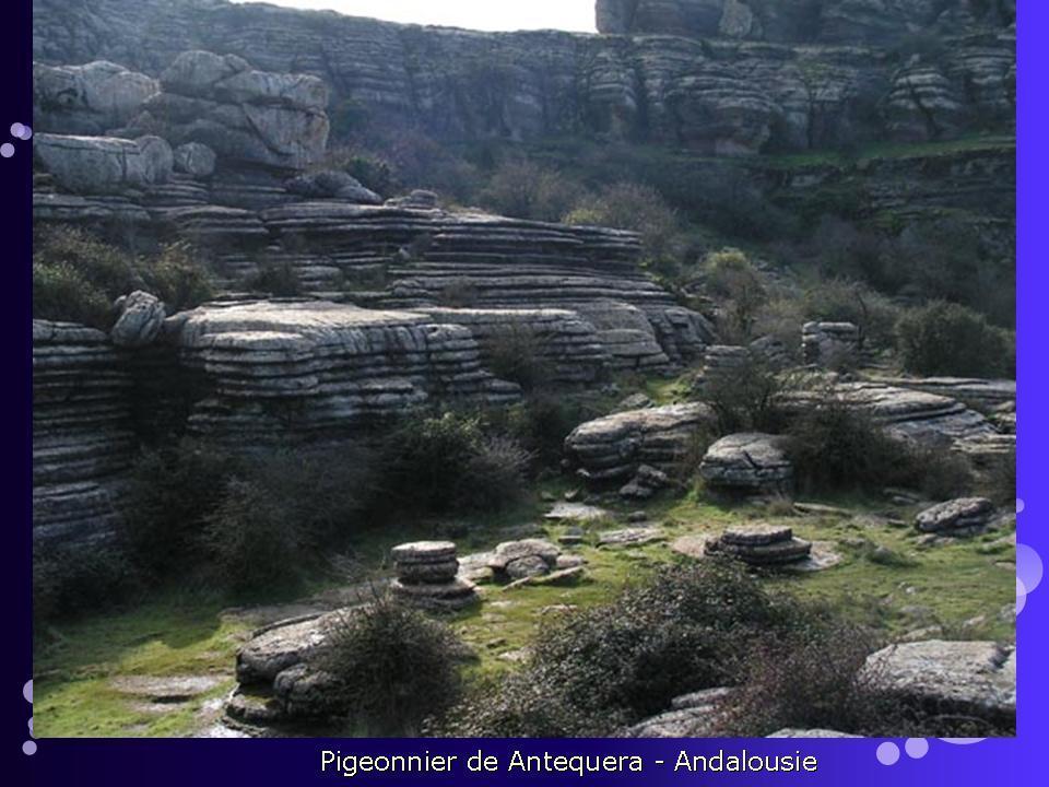 j'espère que vous avez aimé comme moi....