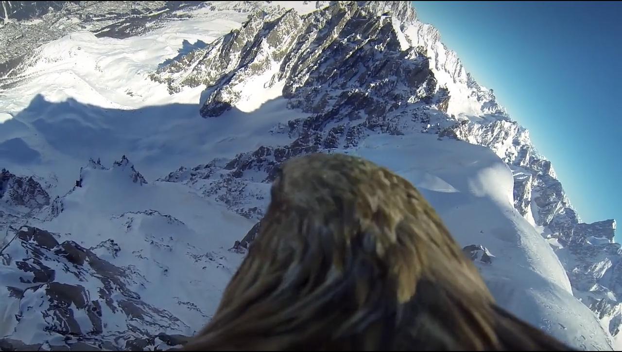 Aperçu d'une séquence alpine du projet L'envol de l'aigle