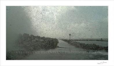 Tempête et Intempéries à Agde Quand la tempête gronde 28/11/2014 Tous droits réservés.,seul le partage est autorisé