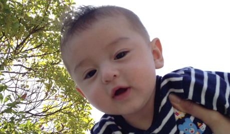 Anniversaire : un an !