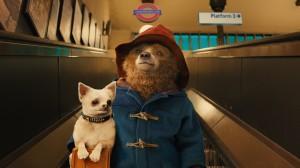 Paddington-subway-dog