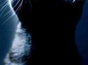 Effets sons quintessences animaux Philippe Barraqué