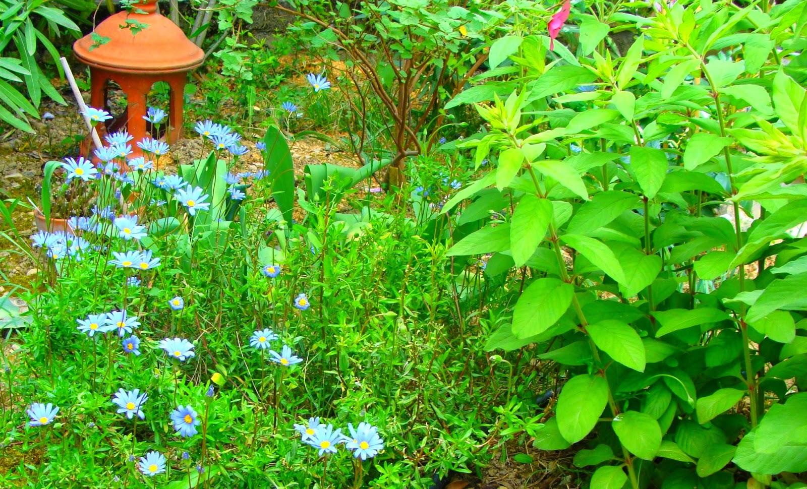 Ma vie en vert…tous azimuts