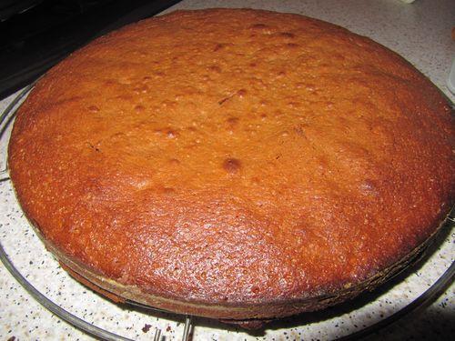 Gâteau - Noix - chocolat