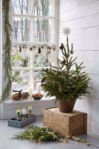 Sapin de Noël sur caisse en bois Ullamaija Hänninen via Nat et nature Cette année, ce sera un Noël nature