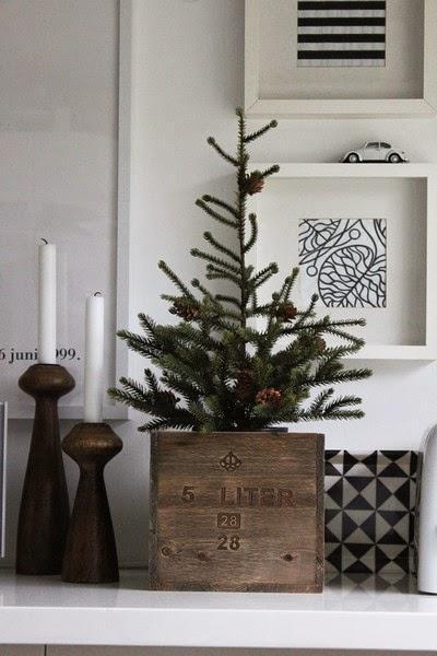 Cette année, ce sera un Noël nature Cette année, ce sera un Noël nature