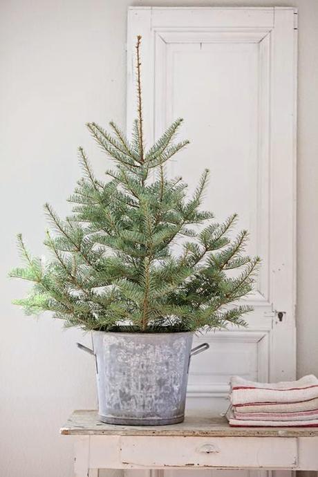 Cette année, ce sera un Noël nature Cette année, ce sera un Noël nature