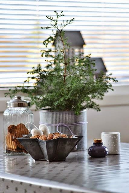 Petit sapin de Noël Kronprinsessene via Nat et nature Cette année, ce sera un Noël nature